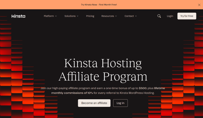 Kinsta website preview