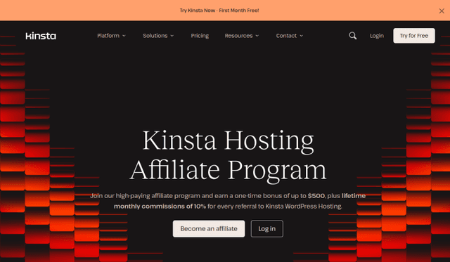Kinsta website preview