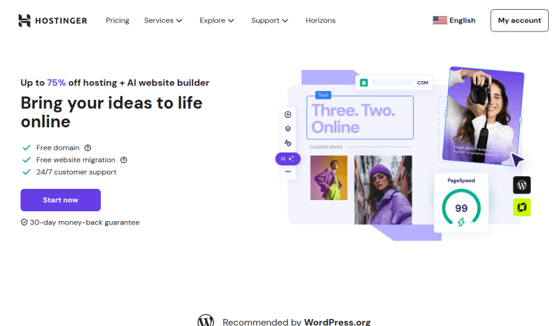 Hostinger website preview