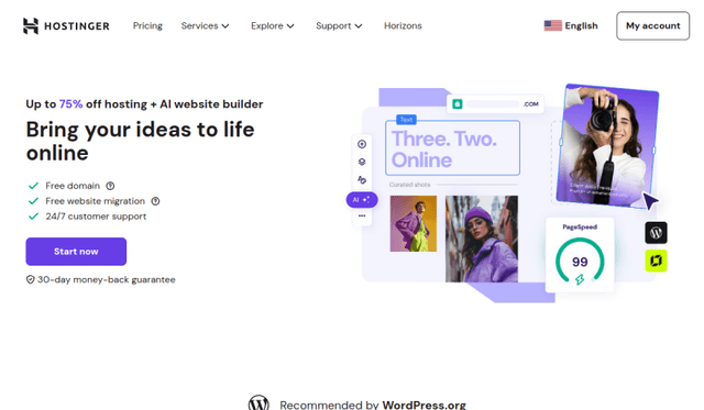 Hostinger website preview